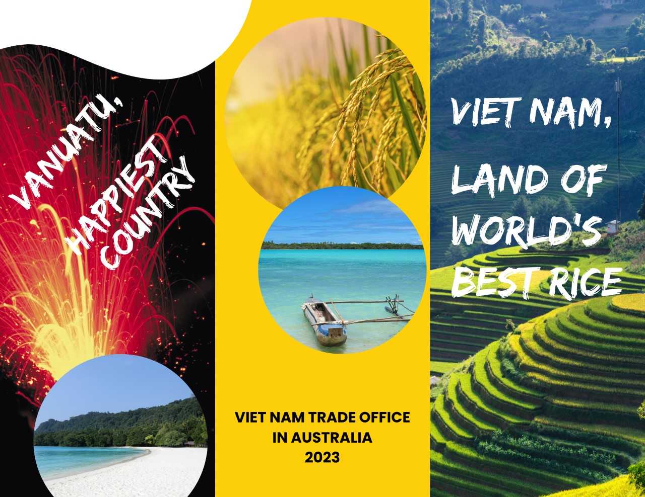 Việt Nam được giới thiệu là &quot;vùng đất của gạo ngon nhất thế giới&quot; ở một quốc đảo xinh đẹp  - Ảnh 2.