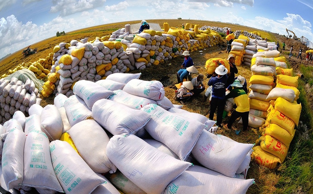 Dự báo sản lượng gạo Trung Quốc giảm hơn 3 triệu tấn trong năm 2023, cơ hội lớn các DN Việt Nam - Ảnh 1.
