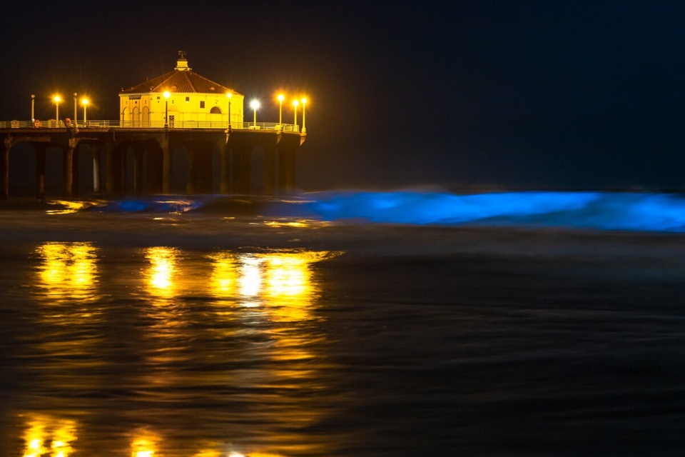 Cận cảnh 5 bãi biển kỳ lạ, về đêm rực sáng như thắp đèn - Ảnh 3.