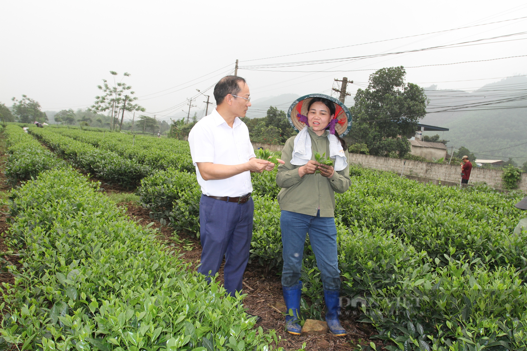 HND tỉnh Thái Nguyên ban hành kế hoạch tổ chức hội nghị Chủ tịch tỉnh đối thoại với nông dân năm 2023 - Ảnh 2.