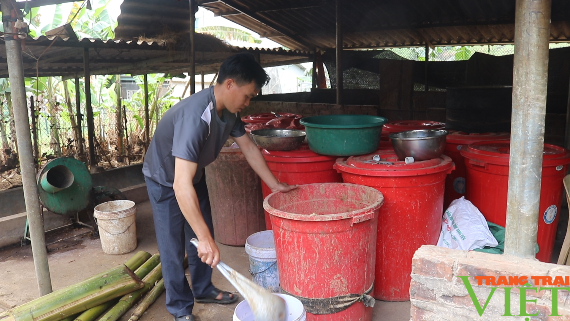 Chàng trai người Mông Bắc Yên làm kinh tế giỏi - Ảnh 3.