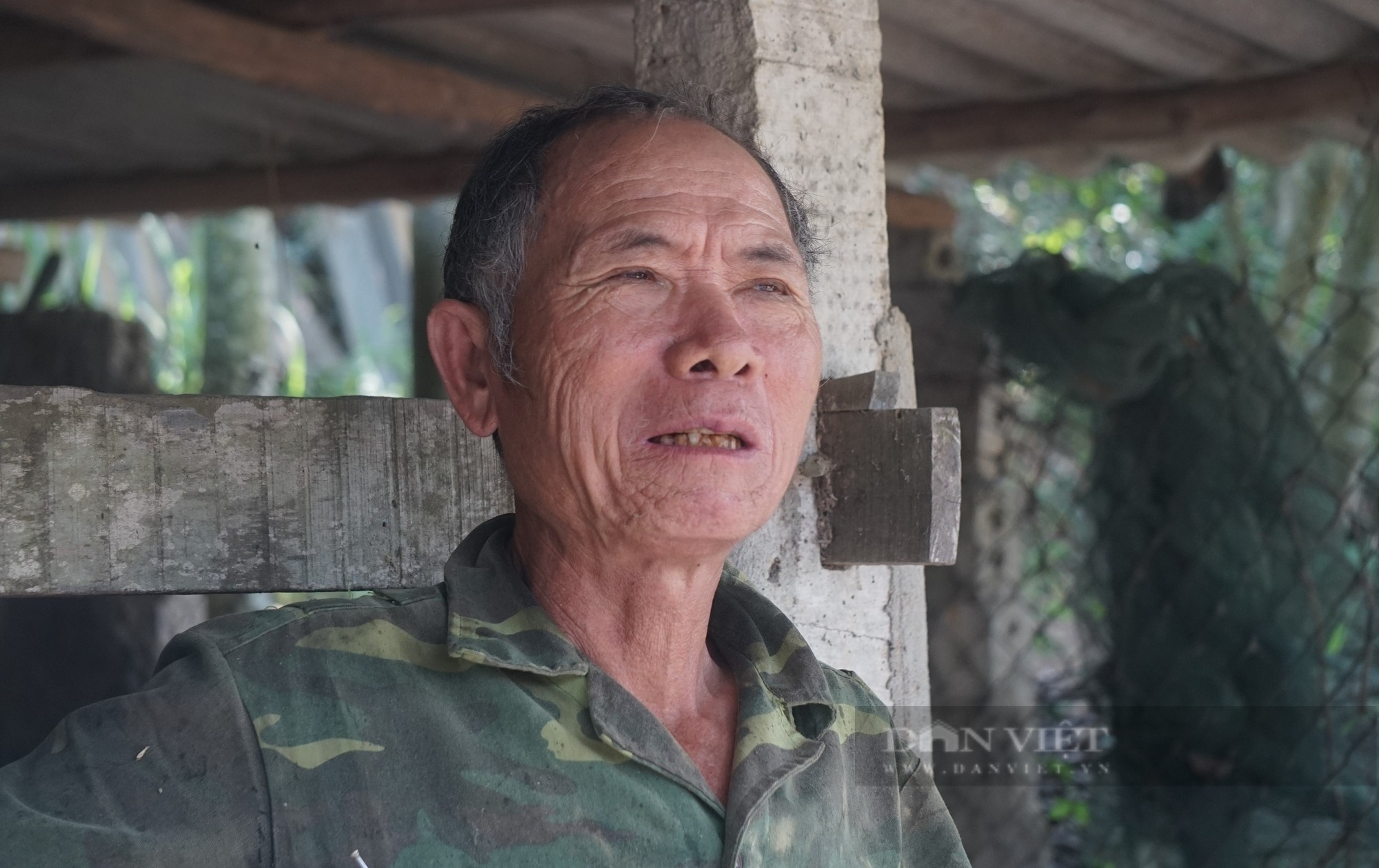 Về xã nuôi hươu nhiều nhất tỉnh Nghệ An, mùa cắt nhung hươu có gia đình thu về gần nửa tỷ đồng - Ảnh 4.