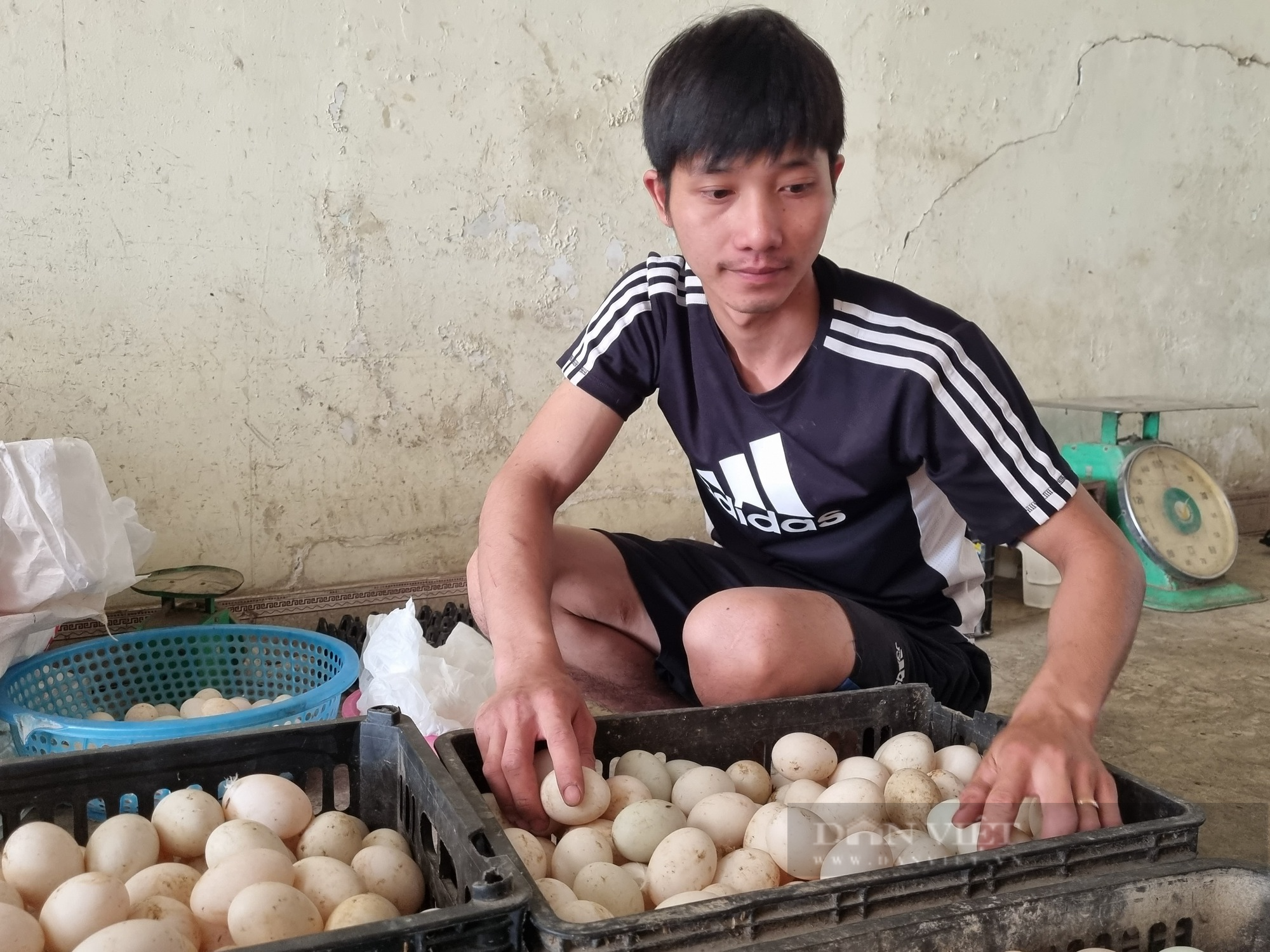 9X Ninh Bình nuôi 12.000 con vịt đẻ trứng lãi gần 200 triệu đồng/năm - Ảnh 6.
