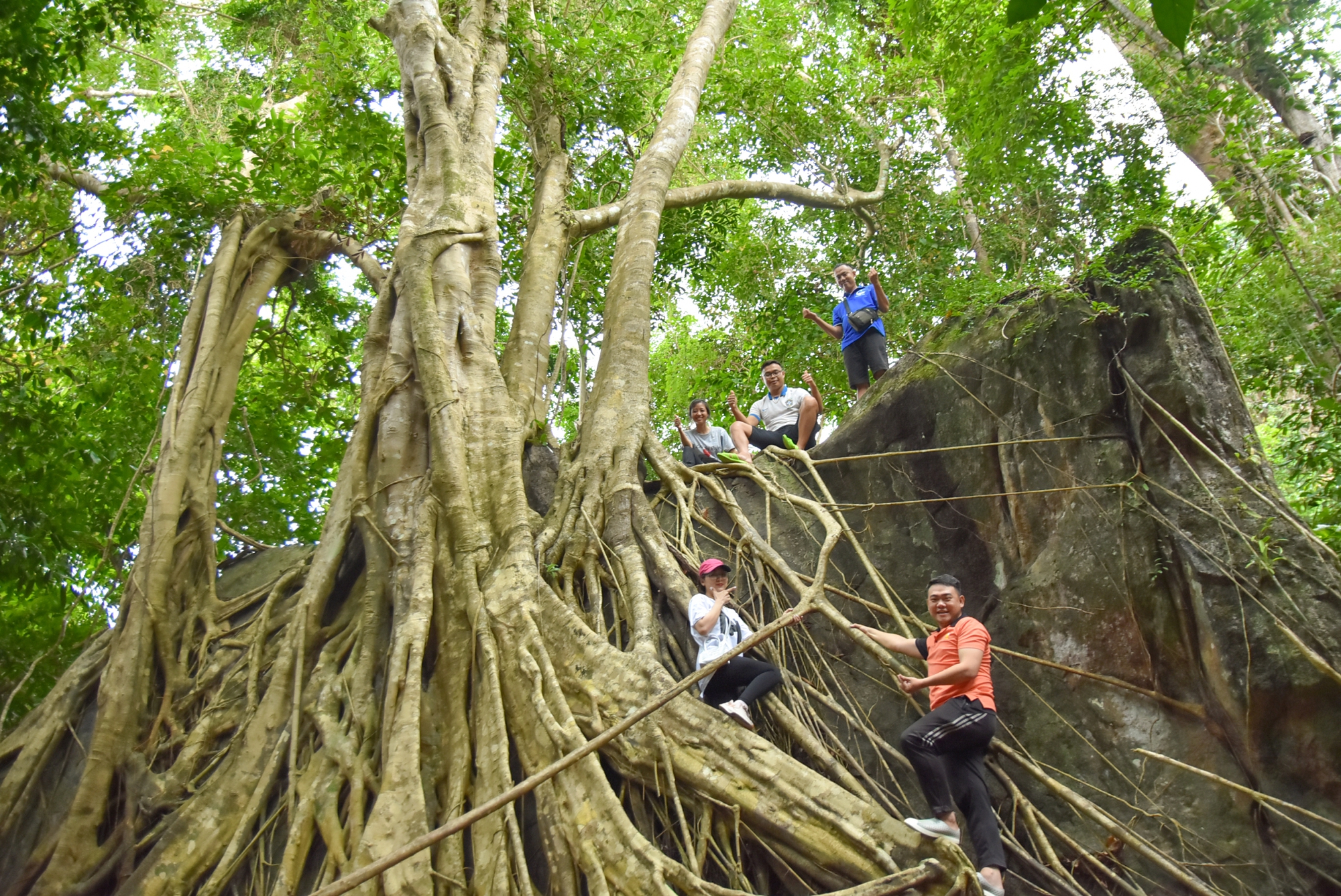 Chinh phục Tiên Sơn đỉnh - Ảnh 3.