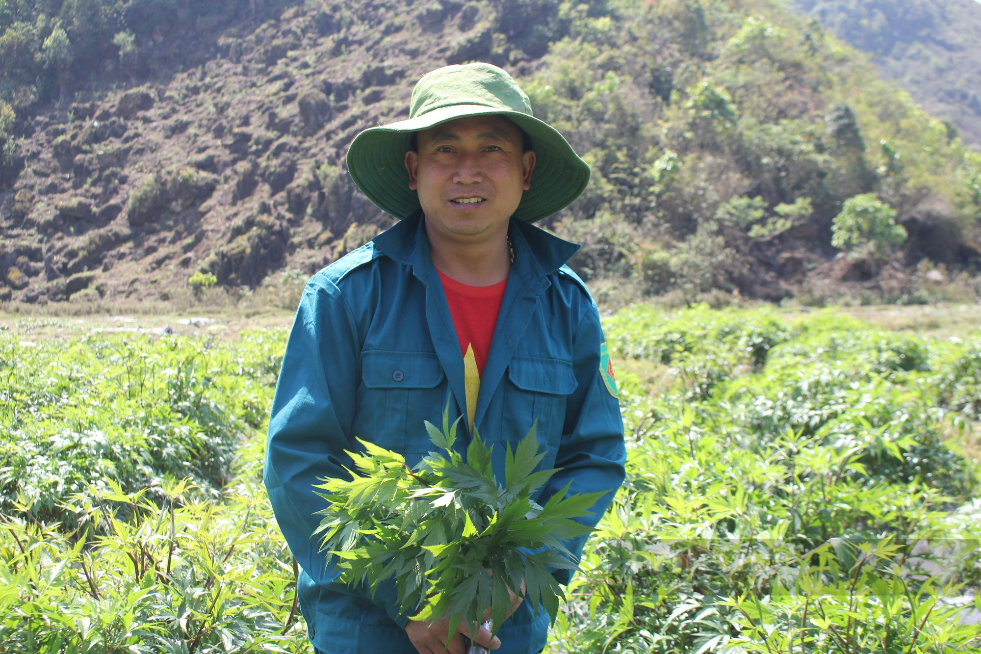 Lên Tây Bắc thưởng thức món sâm đương quy xào thịt lợn treo gác bếp của người Mông, thơm ngon &quot;quên cả lối về&quot; - Ảnh 1.