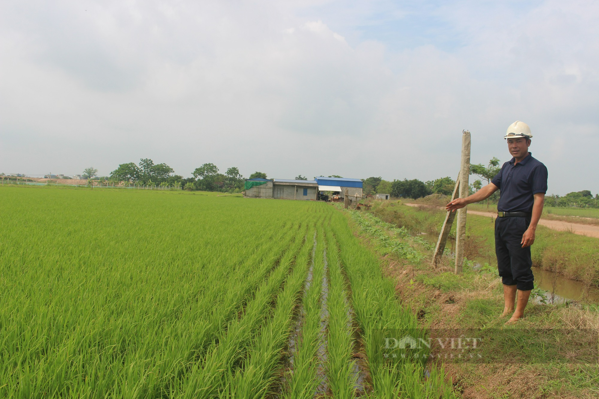 Liên kết sản xuất giúp nông dân tăng thu nhập, ổn định cuộc sống - Ảnh 3.