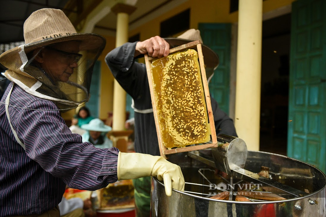 Cùng nhau nuôi ong lấy mật, nông dân Tuyên Quang thoát nghèo - Ảnh 2.