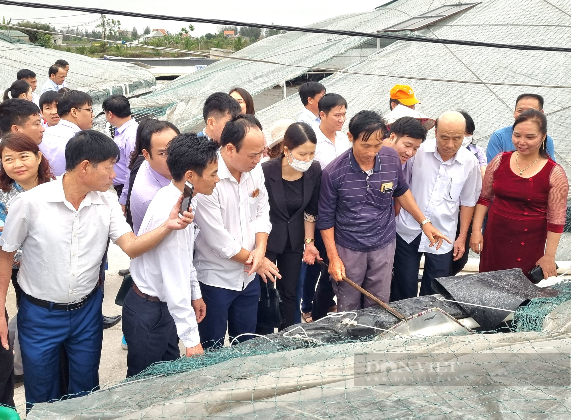 Ninh Bình: Hơn 200 cán bộ hội nông dân đi tham quan mô hình nuôi lươn, tôm tại Kim Sơn - Ảnh 6.