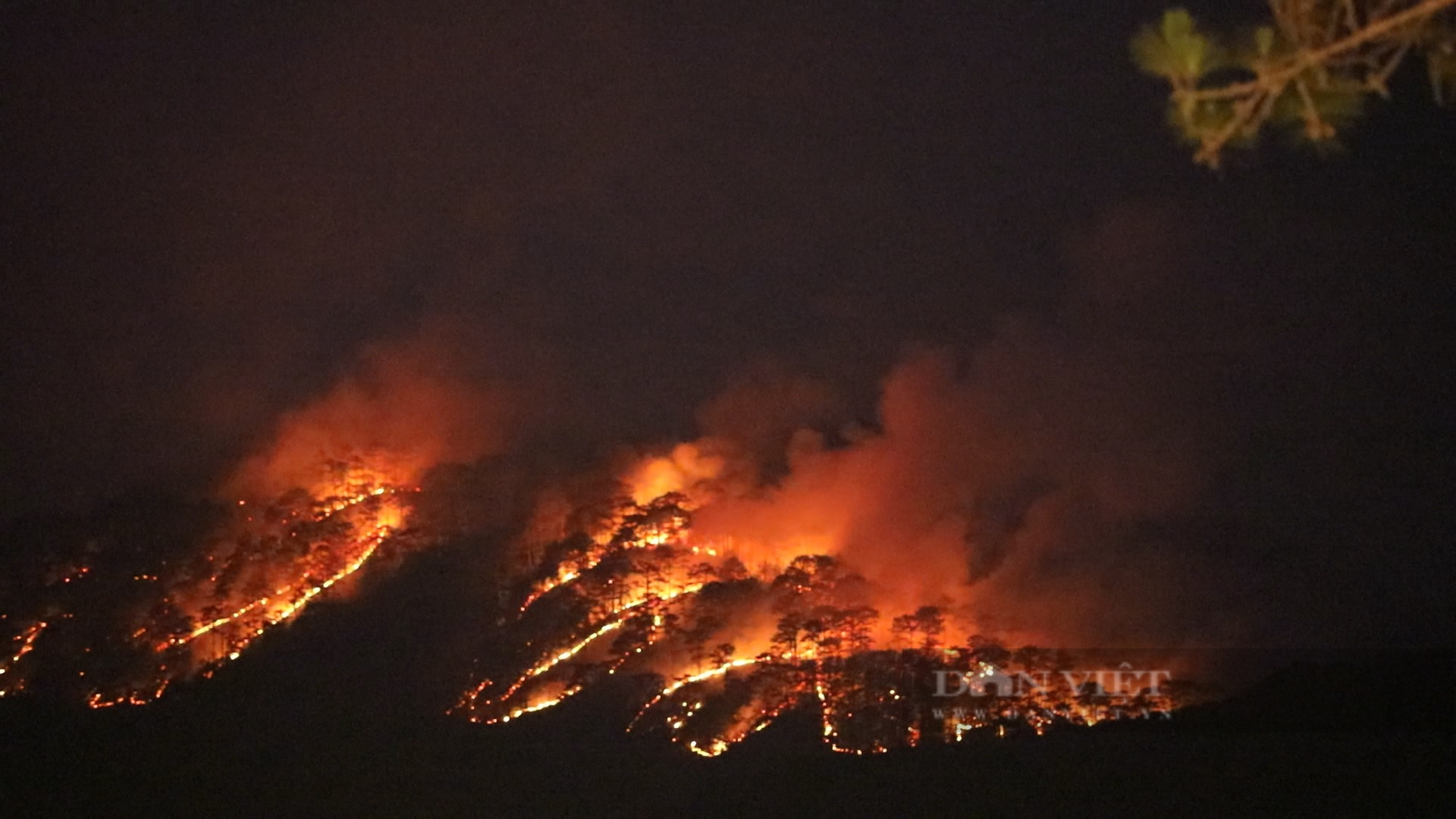 Nóng: Cháy lớn rừng thông TP.Đà Lạt khu vực đèo Prenn - Ảnh 2.