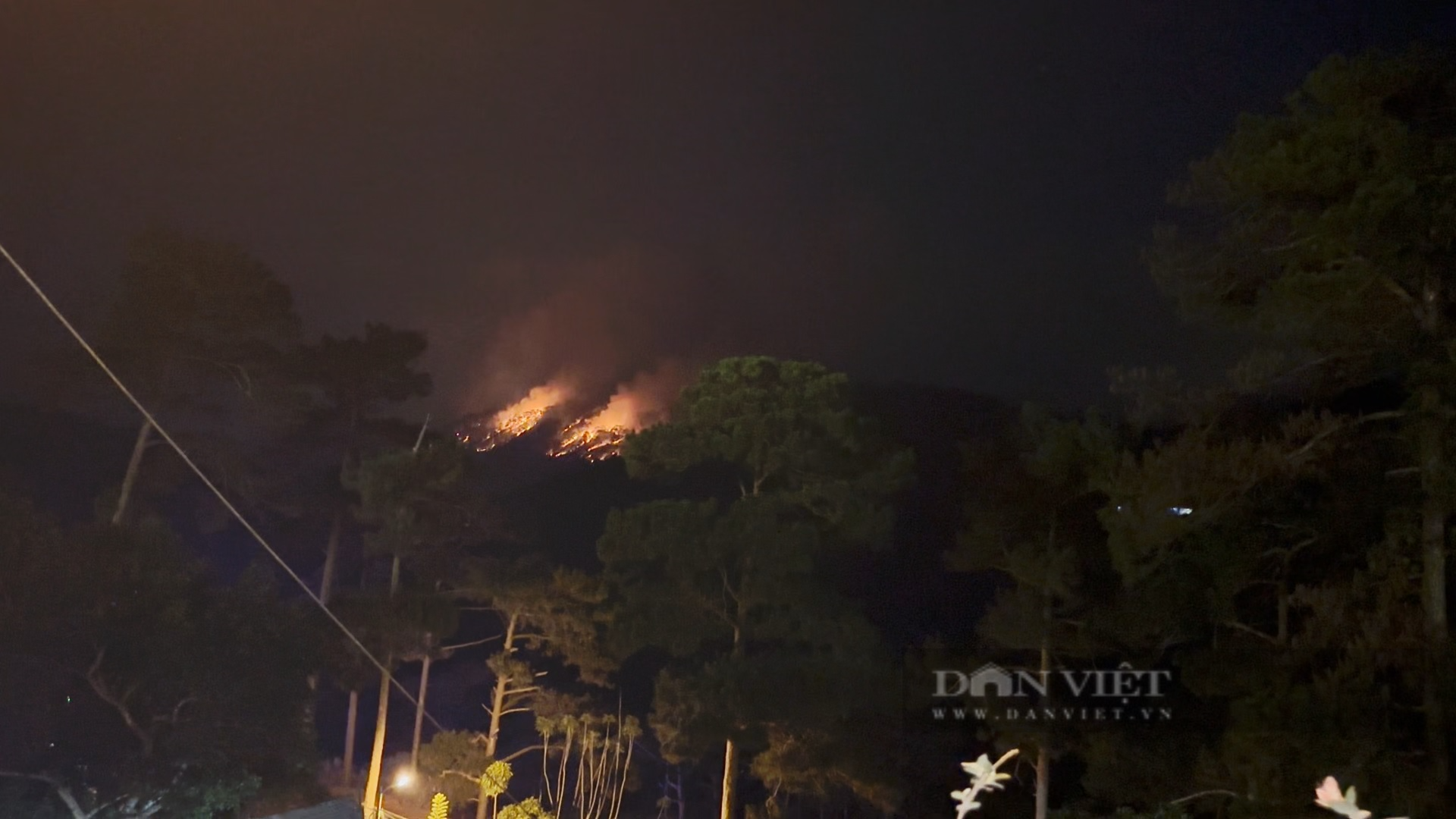 Nóng: Cháy lớn rừng thông TP.Đà Lạt khu vực đèo Prenn - Ảnh 3.