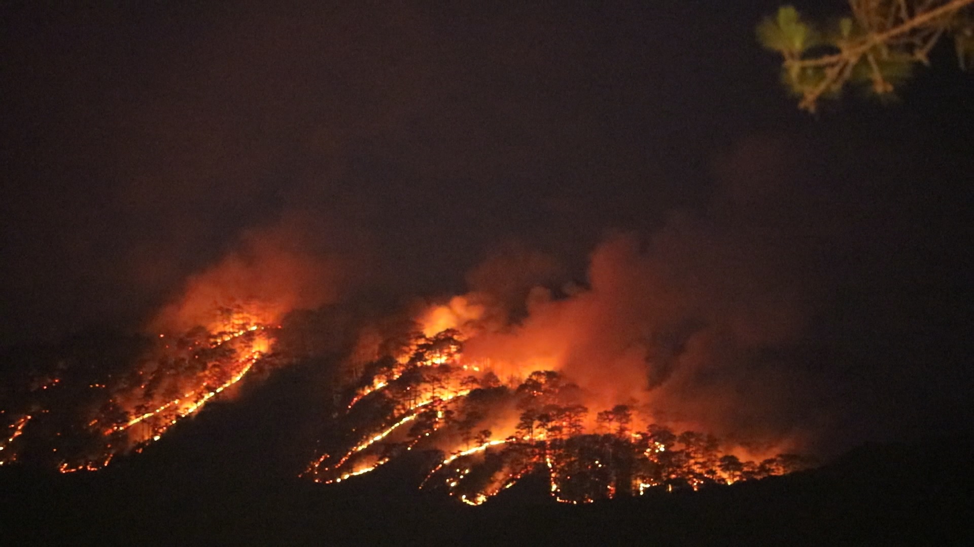 Thông tin mới nhất vụ cháy rừng ở đèo Prenn, Đà Lạt: Xuyên đêm chữa cháy, dùng flycam để giám sát - Ảnh 5.