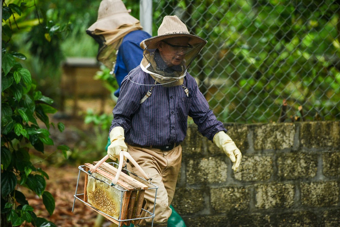 Cùng nhau nuôi ong lấy mật, nông dân Tuyên Quang thoát nghèo - Ảnh 1.
