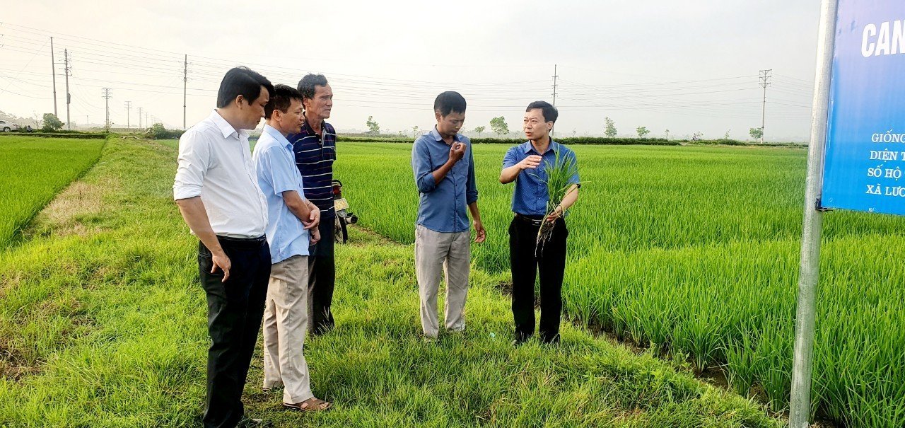 Bắc Giang: Hiệp Hòa hoàn thành ĐHĐB Hội Nông dân cấp cơ sở, hơn 20 công trình của nông dân được xây dựng - Ảnh 3.