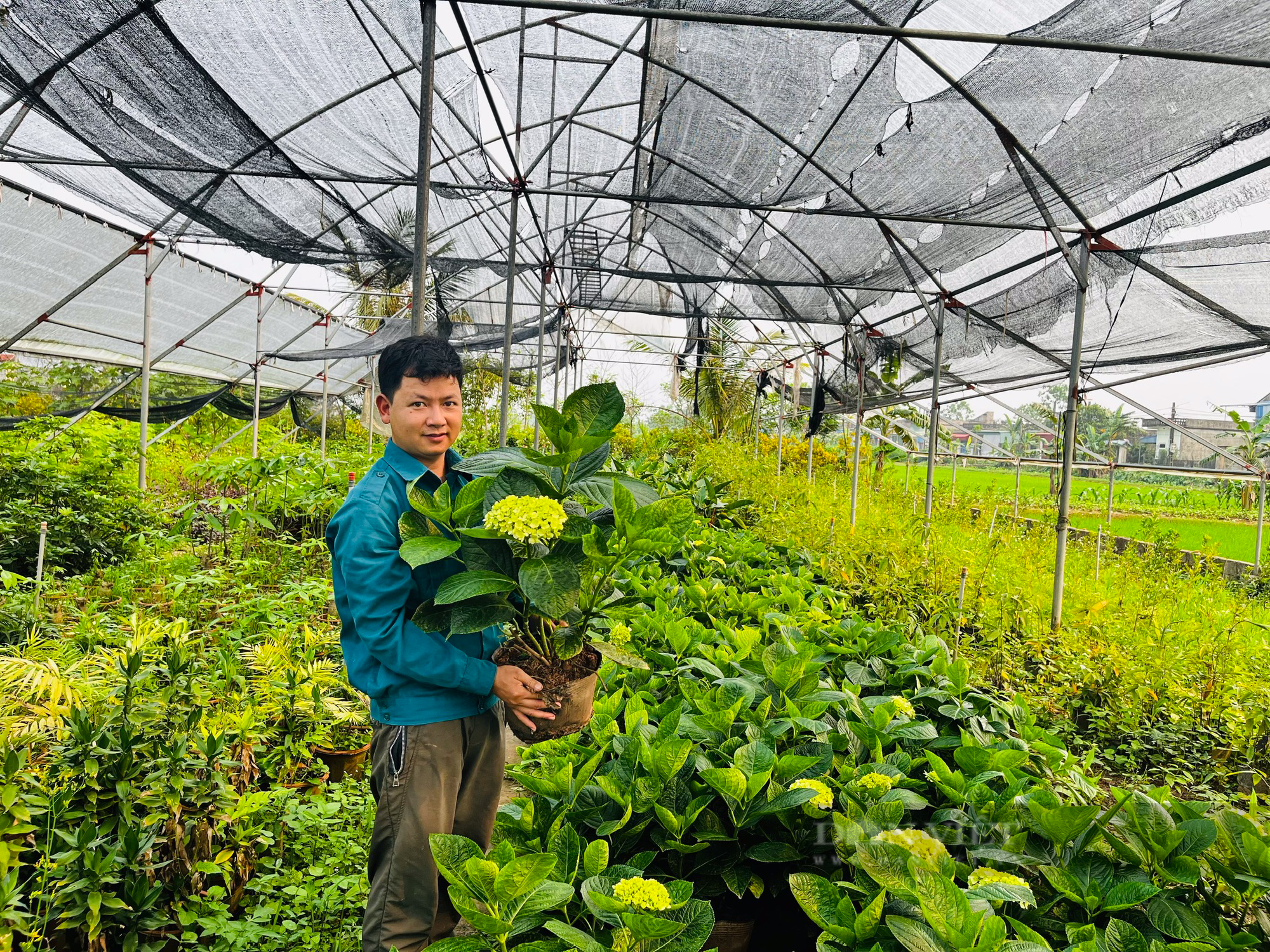 Bỏ phố về quê, chàng trai 9x khởi nghiệp thành công trang trại hoa, thu về tiền tỉ với hai bàn tay trắng - Ảnh 2.