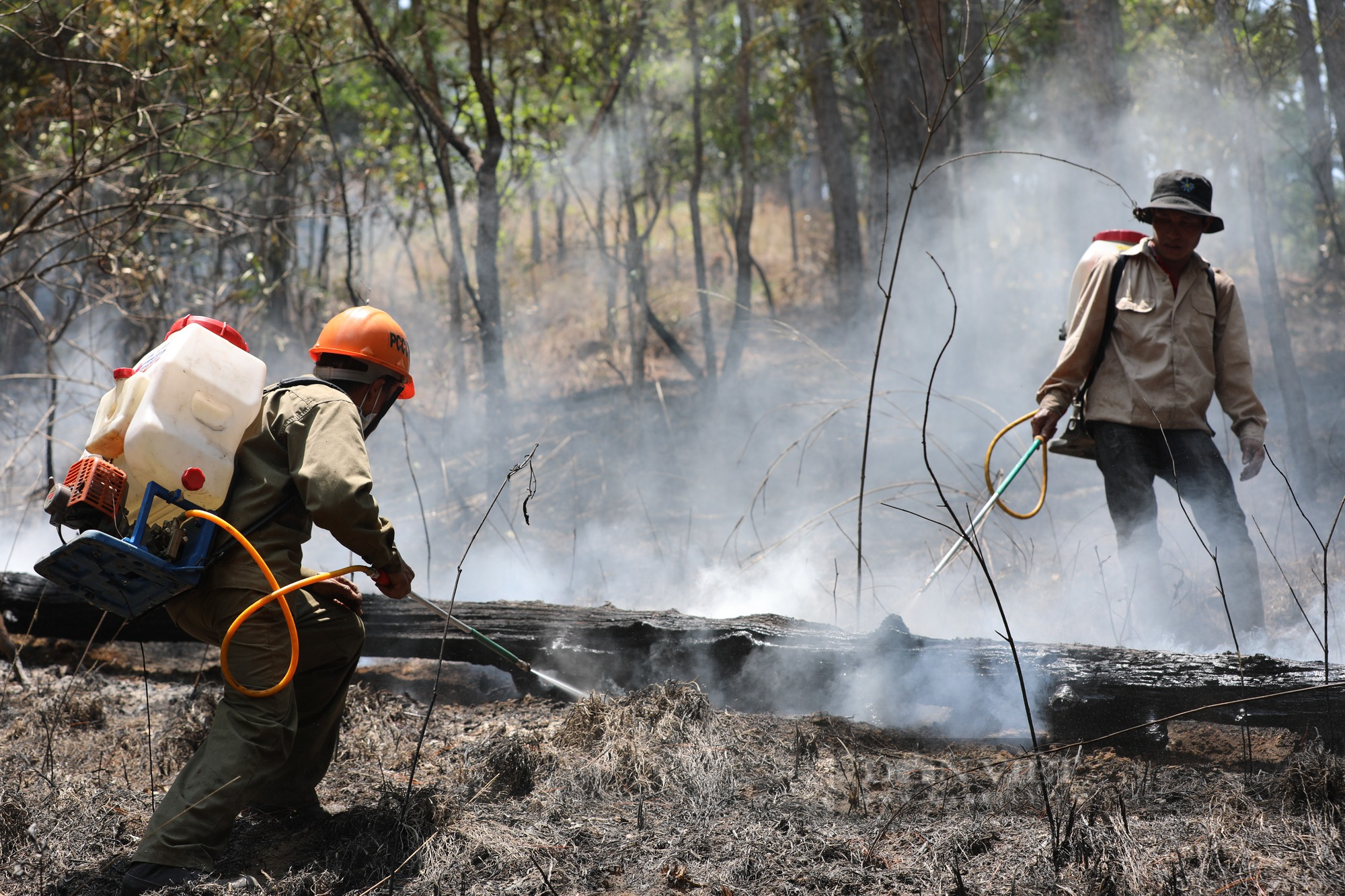 Ảnh: Lực lượng chữa cháy xách từng căn nước lên đồi để dập lửa vụ cháy rừng thông tại TP.Đà Lạt - Ảnh 9.