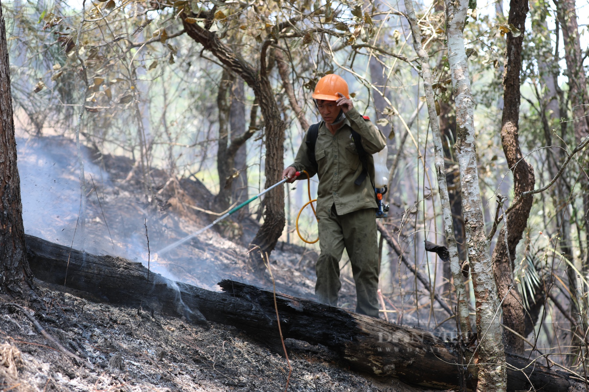 Ảnh: Lực lượng chữa cháy xách từng căn nước lên đồi để dập lửa vụ cháy rừng thông tại TP.Đà Lạt - Ảnh 10.