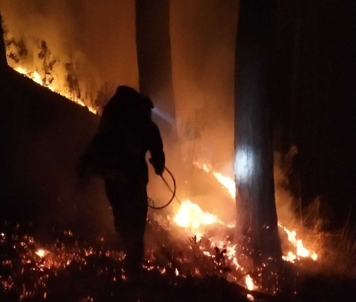 Thông tin mới nhất vụ cháy rừng ở đèo Prenn, Đà Lạt: Xuyên đêm chữa cháy, dùng flycam để giám sát - Ảnh 3.