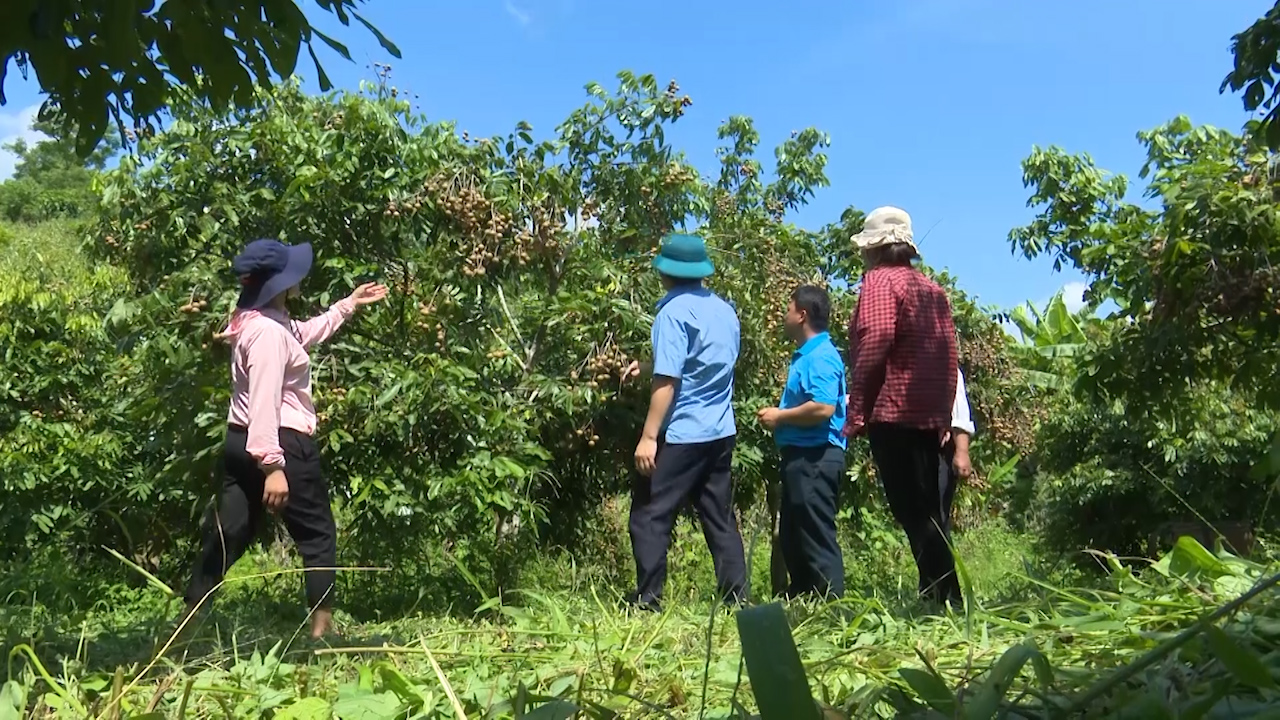 Sơn La: Giúp đồng bào dân tộc thiểu số thoát nghèo - Ảnh 4.