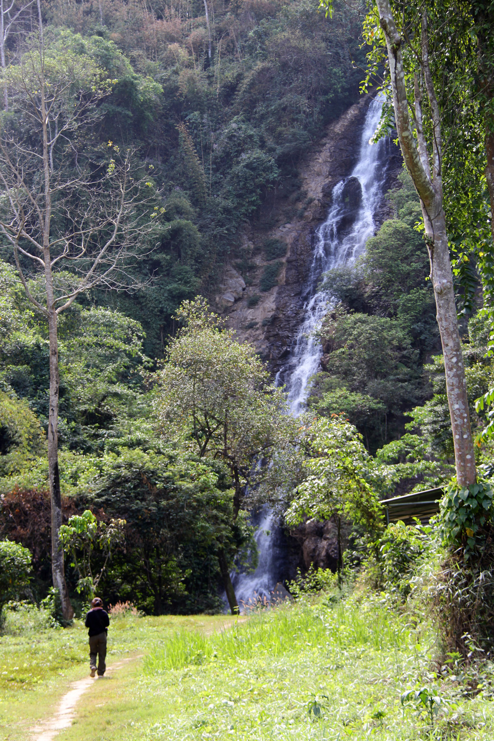 Ngọn thác 70m đổ xuống 7 tầng nước giữa chốn rừng hoang sơ ở Lâm Đồng khiến ai cũng sững sờ - Ảnh 2.