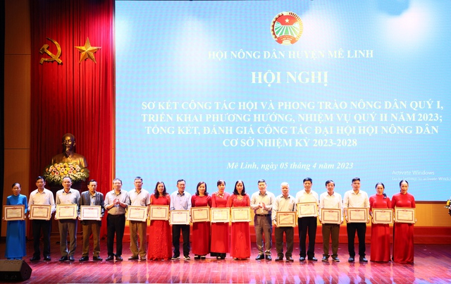 Hà Nội: 20.900 hộ nông dân Mê Linh đăng ký sản xuất, kinh doanh giỏi - Ảnh 2.