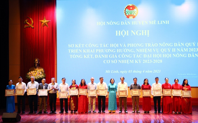 Hà Nội: 20.900 hộ nông dân Mê Linh đăng ký sản xuất, kinh doanh giỏi - Ảnh 1.