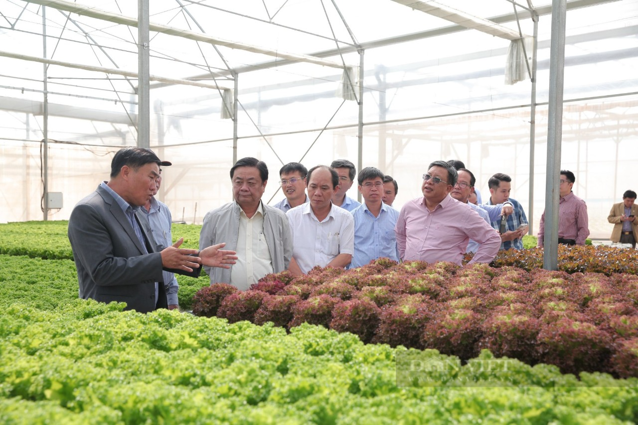 Bộ trưởng Lê Minh Hoan: Để Lâm Đồng thành &quot;điểm đến nông nghiệp xanh&quot; - Ảnh 5.