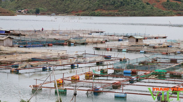 Tạo bước đột phá để nông nghiệp Sơn La phát triển bền vững - Ảnh 7.