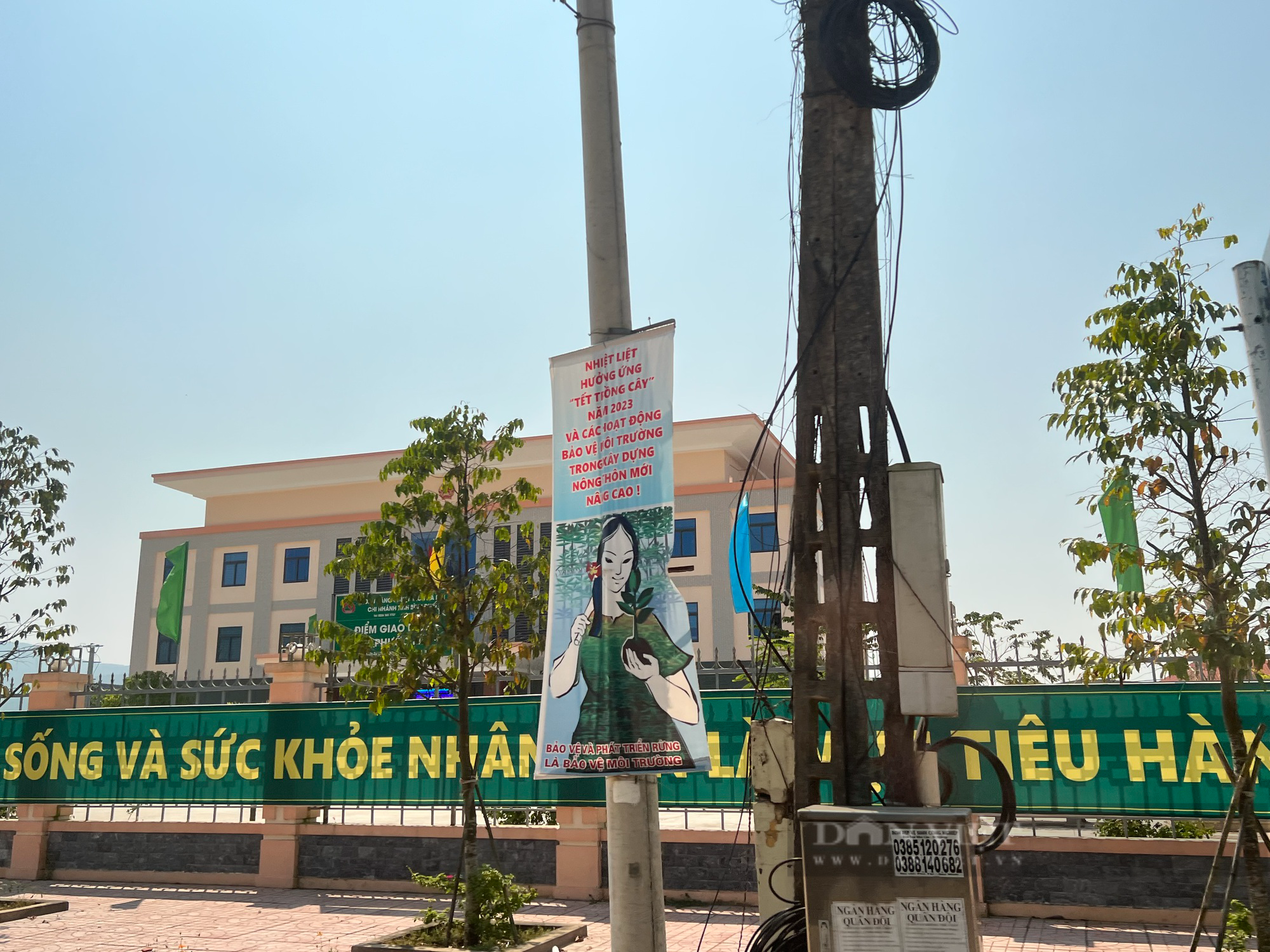 Chủ tịch xã ở Bình Định làm đơn xin thôi chức vì lý do sức khoẻ - Ảnh 2.