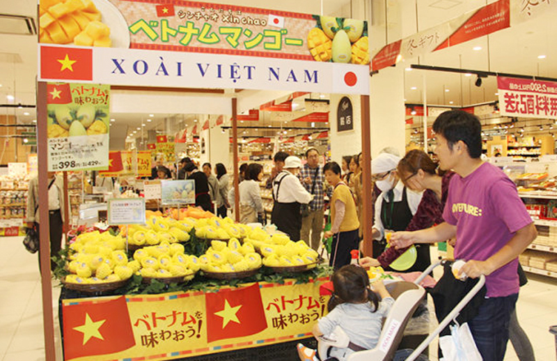Đưa hàng Việt vào mạng lưới bán lẻ nước ngoài - Ảnh 1.