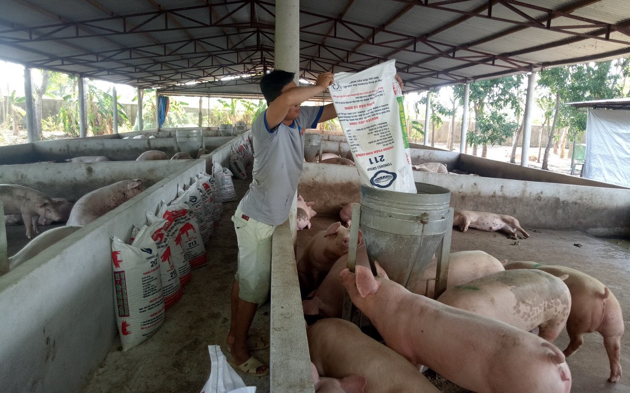 3.000 cơ sở chăn nuôi Đồng Nai trước lệnh di dời: Dứt khoát không để trại heo, gà trong khu dân cư (Bài 1)