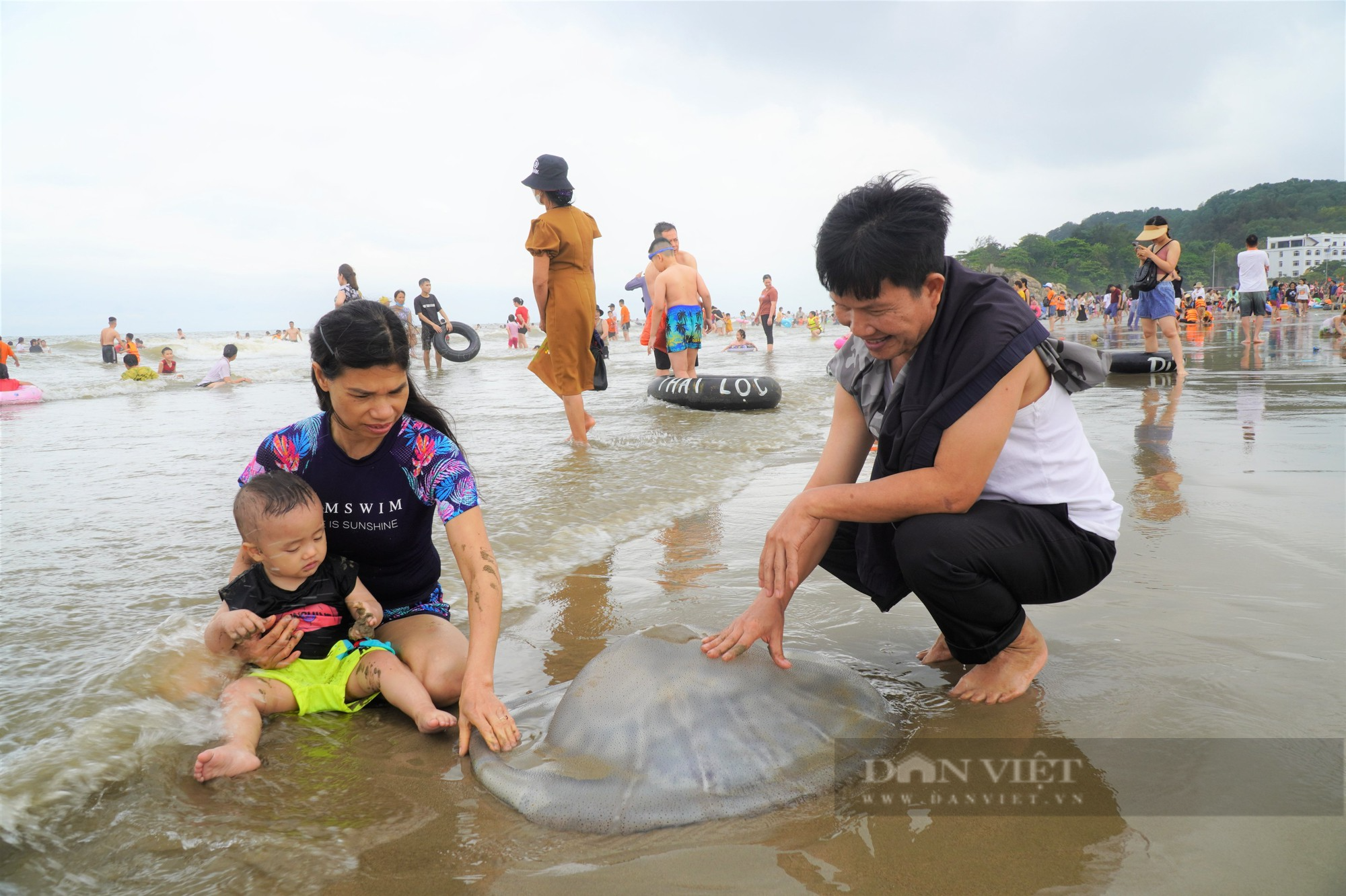 Ảnh ấn tượng tuần: Cảnh núi non điệp trùng, hùng vĩ bên những cao tốc nổi tiếng nhất miền Bắc - Ảnh 6.