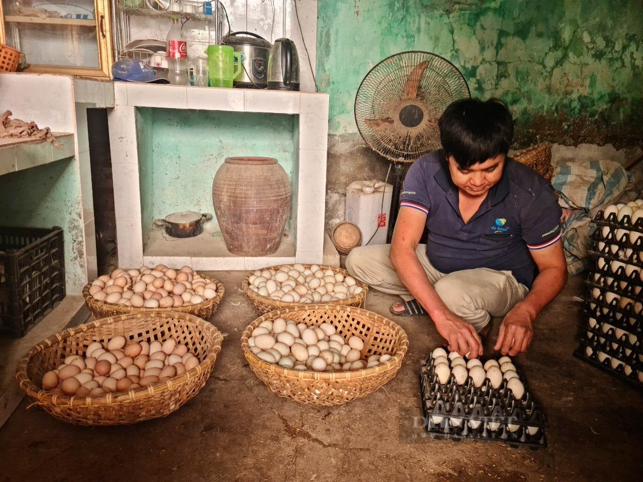 Điện Biên: Nuôi gà ác đẻ trứng, một nông dân ở Thanh Yên kiếm tiền tỷ/năm - Ảnh 3.
