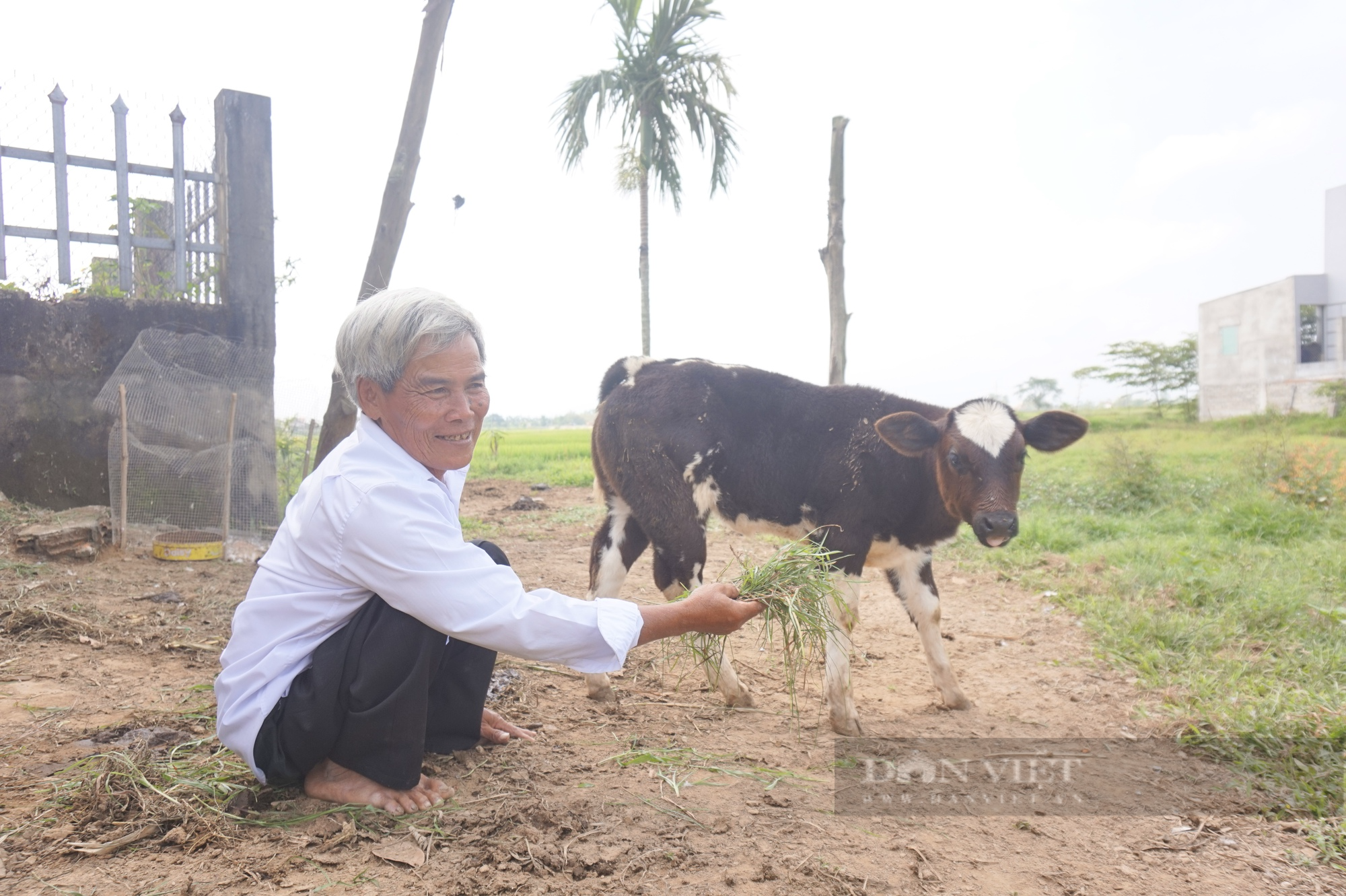 Quảng Nam: Hội làm “bà đỡ” giúp hội viên nông dân thoát nghèo - Ảnh 3.