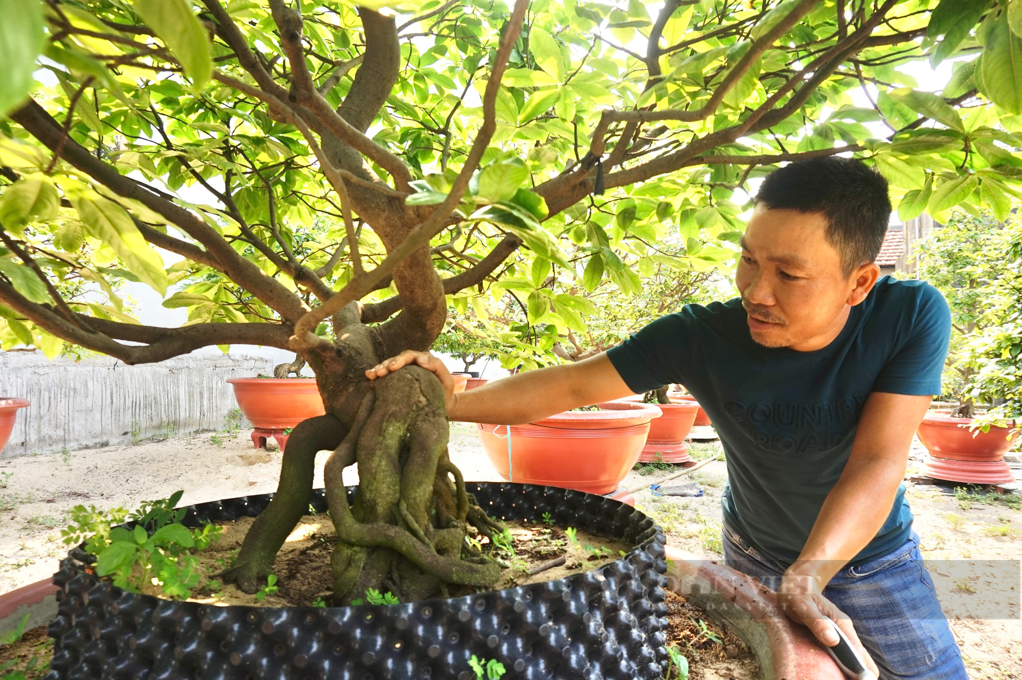 Quảng Nam: Xây dựng giai cấp nông dân vững mạnh và phát triển toàn diện trong thời kỳ mới - Ảnh 4.