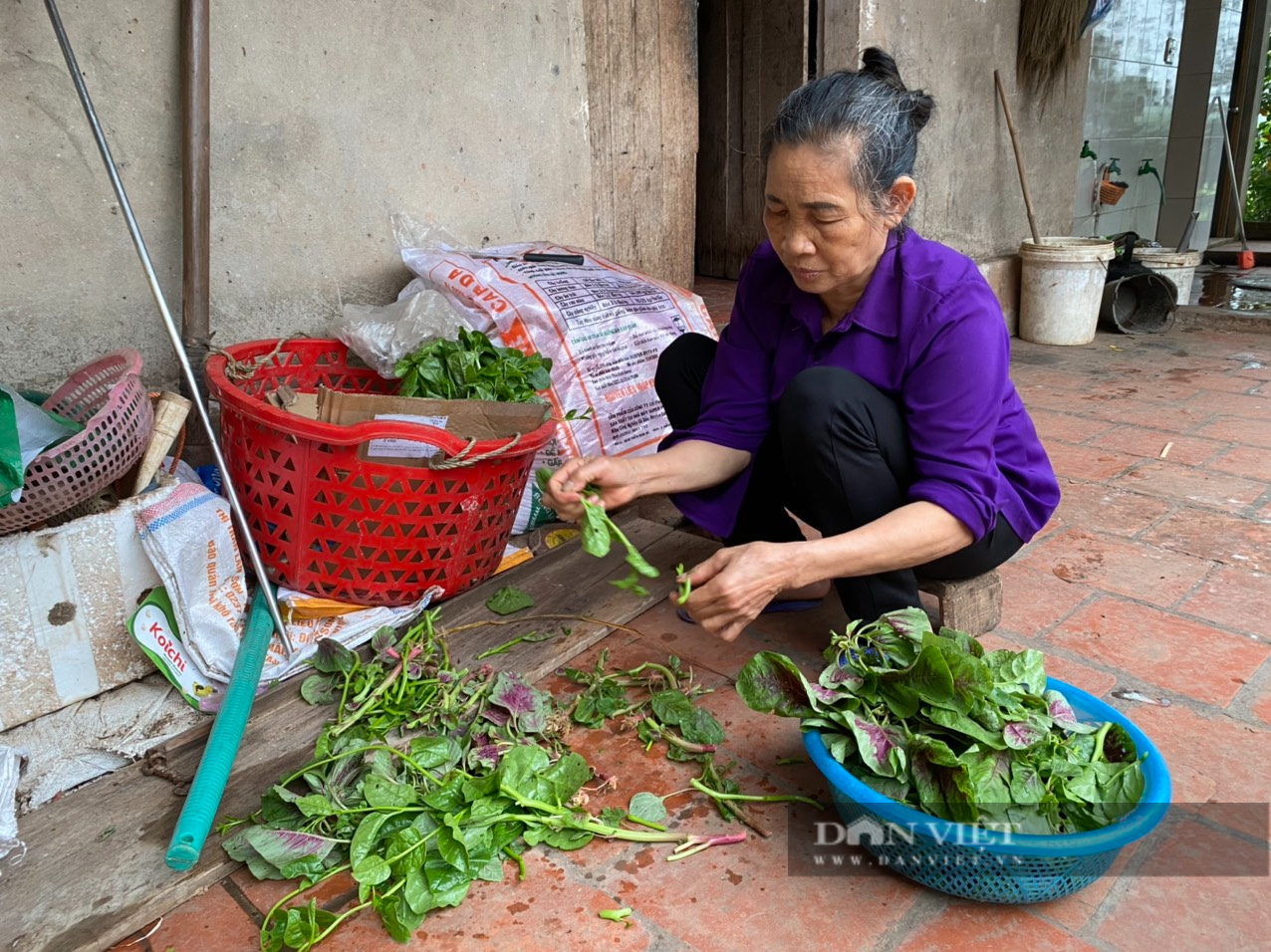 &quot;Cô gái vàng&quot; điền kinh Nguyễn Thị Oanh xuất thân từ gia đình thuần nông, có 8 người con ở Bắc Giang - Ảnh 1.