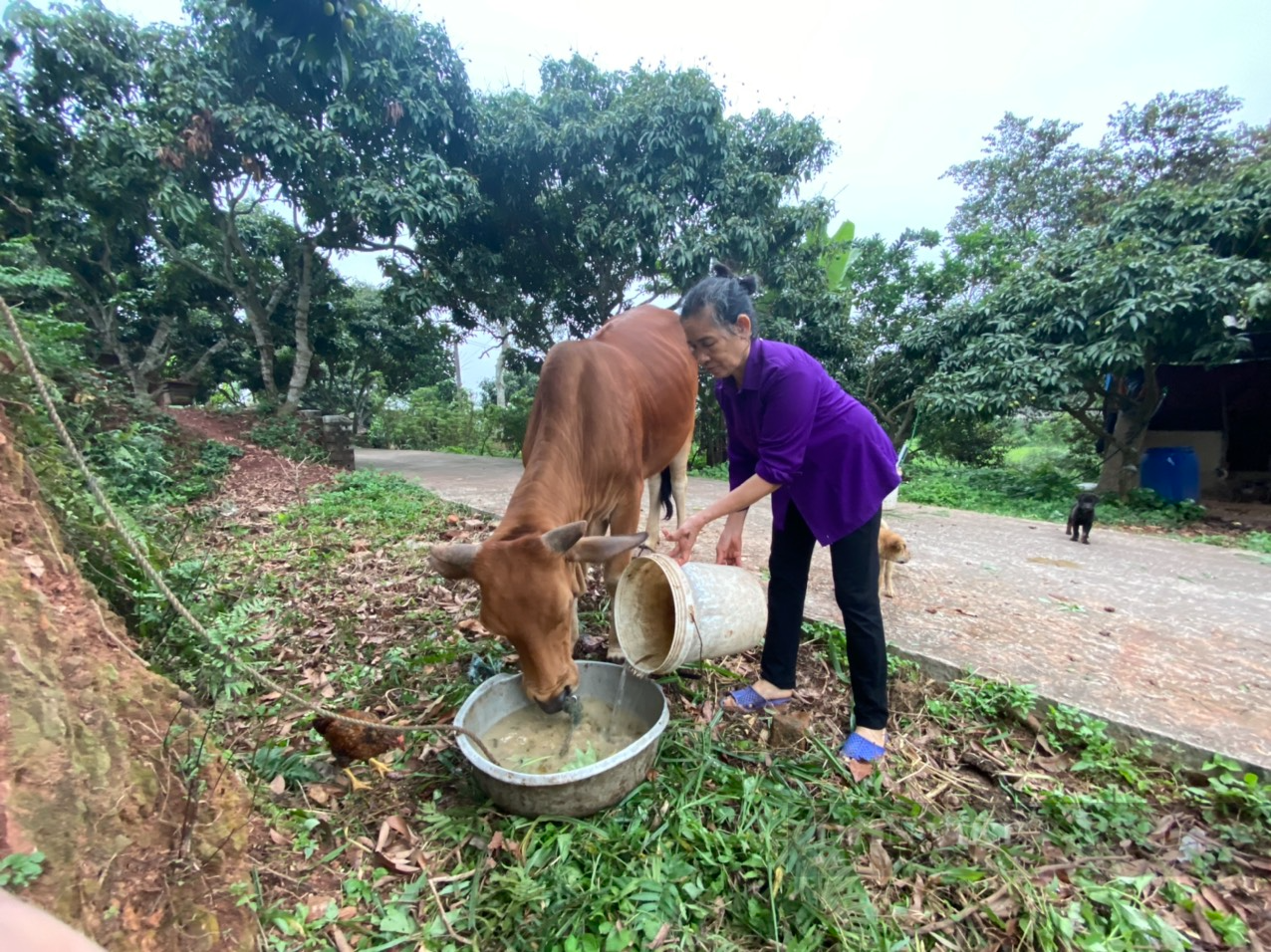 &quot;Cô gái vàng trong làng điền kinh&quot; Nguyễn Thị Oanh xuất thân từ một gia đình thuần nông - Ảnh 3.