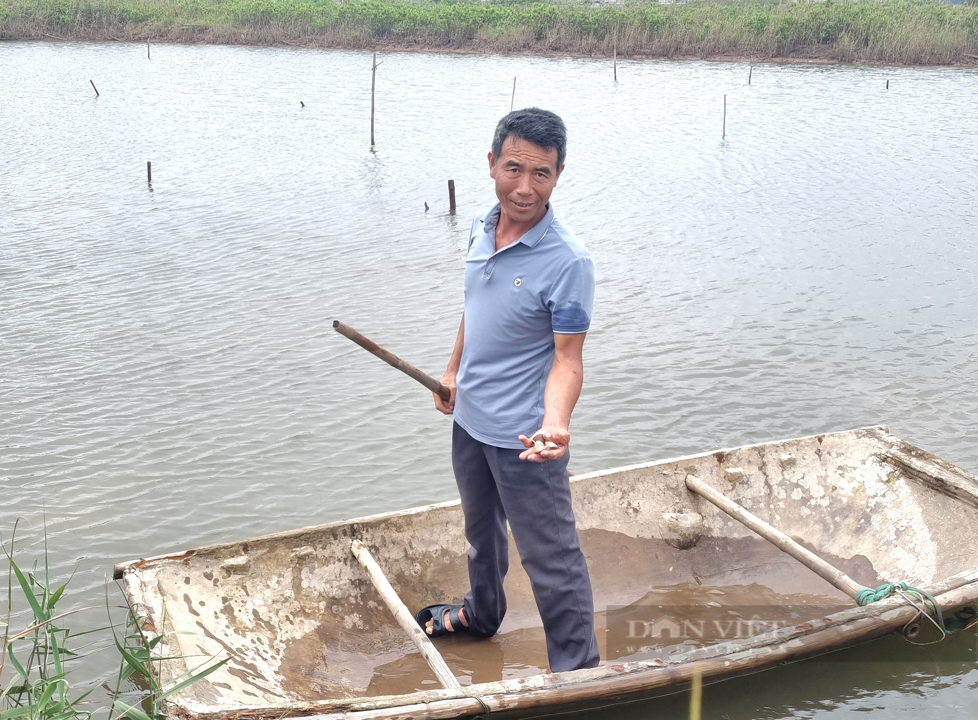 Một nông dân Ninh Bình ươm con ngao giống lãi 300 triệu đồng/năm - Ảnh 2.