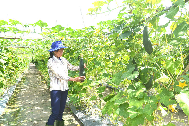 Diễn đàn Kinh tế TP.HCM HEF 2023 hướng tới tăng trưởng xanh, giảm phát thải bằng không - Ảnh 3. Diễn đàn Kinh tế TP.HCM HEF 2023 hướng tới tăng trưởng xanh, giảm phát thải bằng không - Ảnh 3.