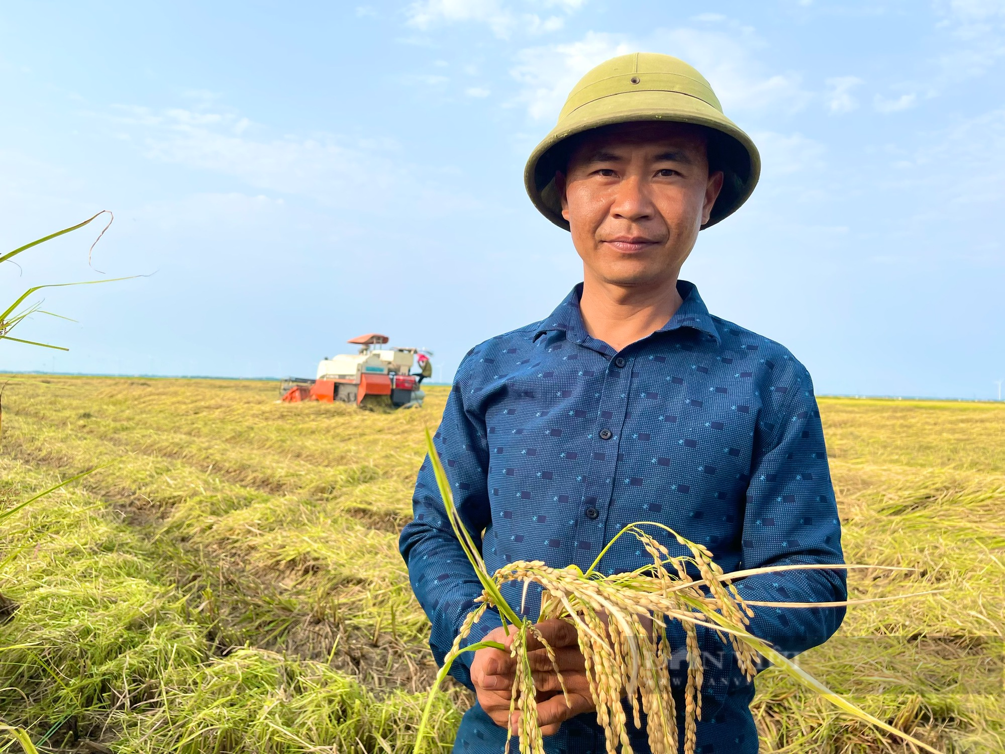 Quảng Bình: Công ty sông Gianh đồng hành cùng nông dân trồng lúa, giông lốc làm ngã rạp liền tới giúp gặt, thu mua luôn - Ảnh 3.