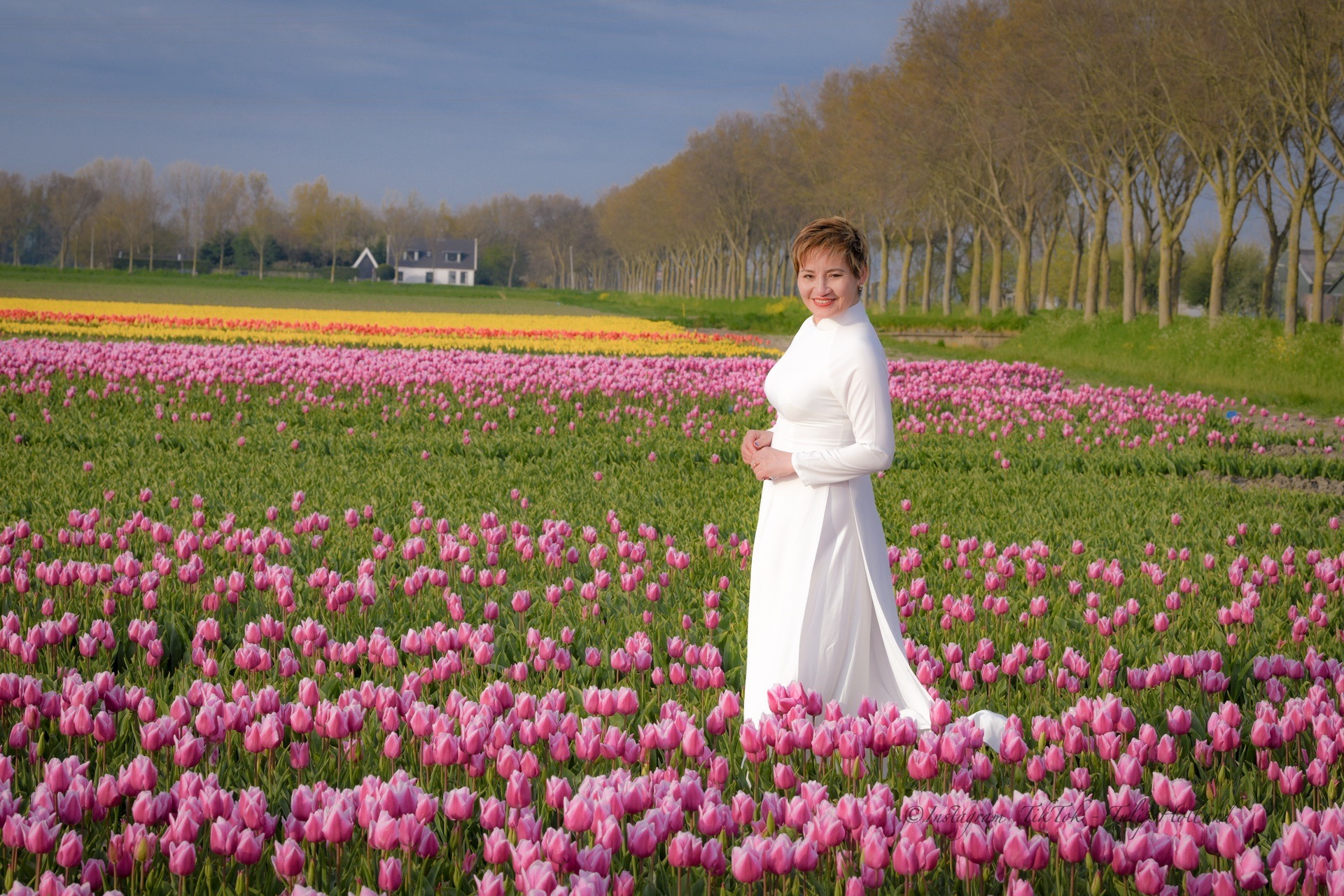 Mãn nhãn cánh đồng hoa tulip đẹp như cổ tích ở ngôi làng cổ 400 tuổi - Ảnh 16.