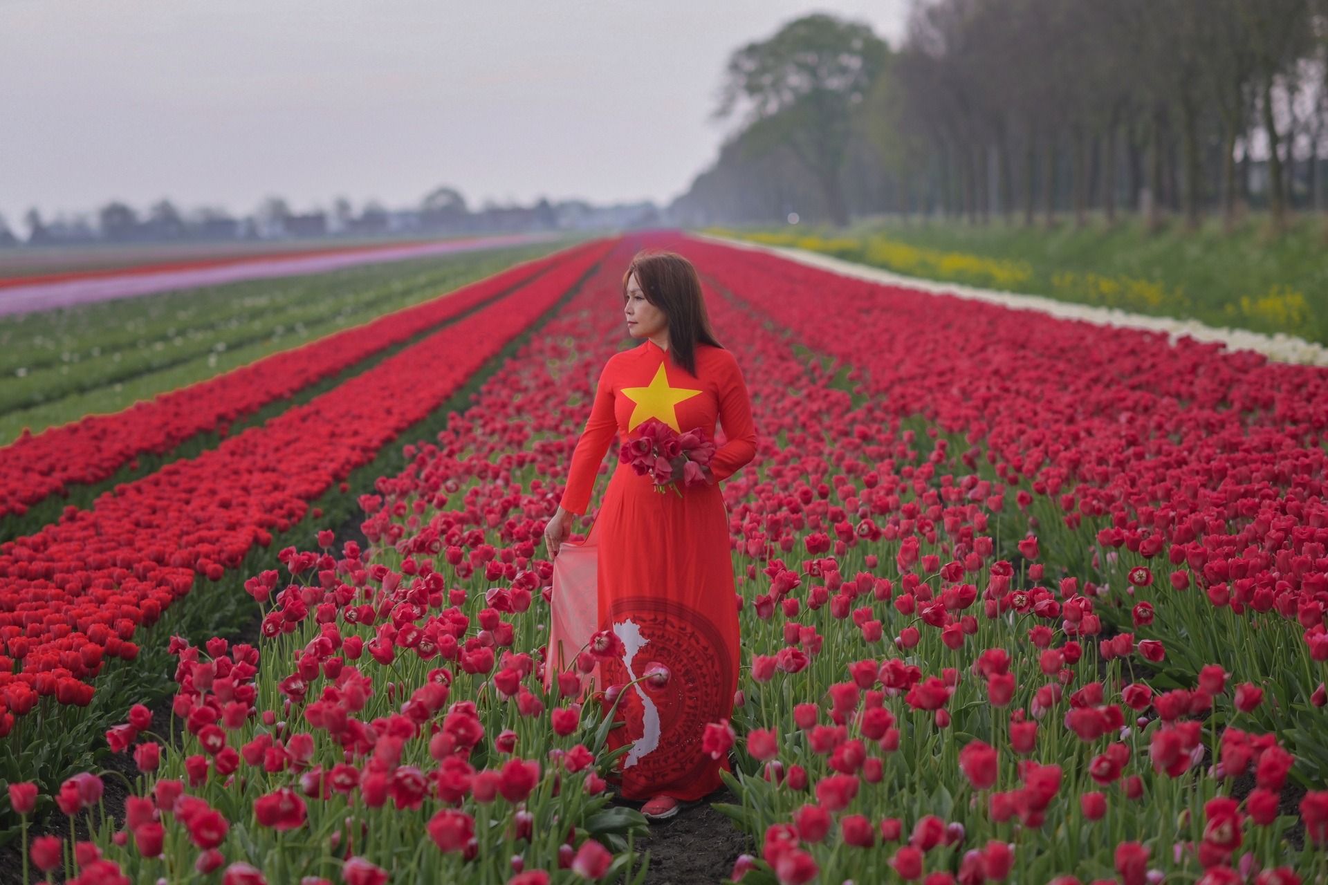 Mãn nhãn cánh đồng hoa tulip đẹp như cổ tích ở ngôi làng cổ 400 tuổi - Ảnh 4.