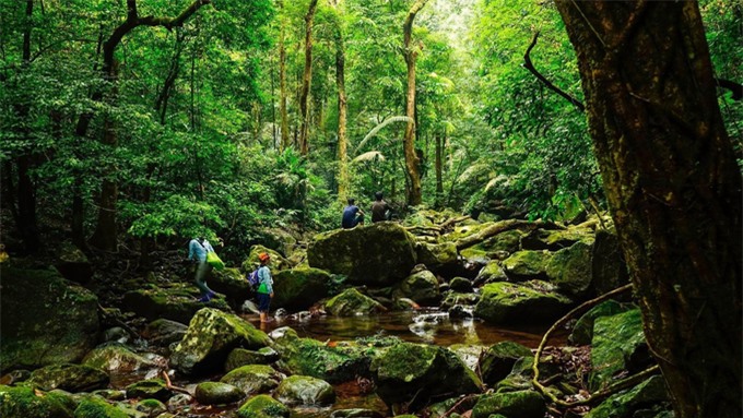 Bình Liêu - Quảng Ninh: Sa Pa thu nhỏ miền Đông Bắc - Ảnh 2.