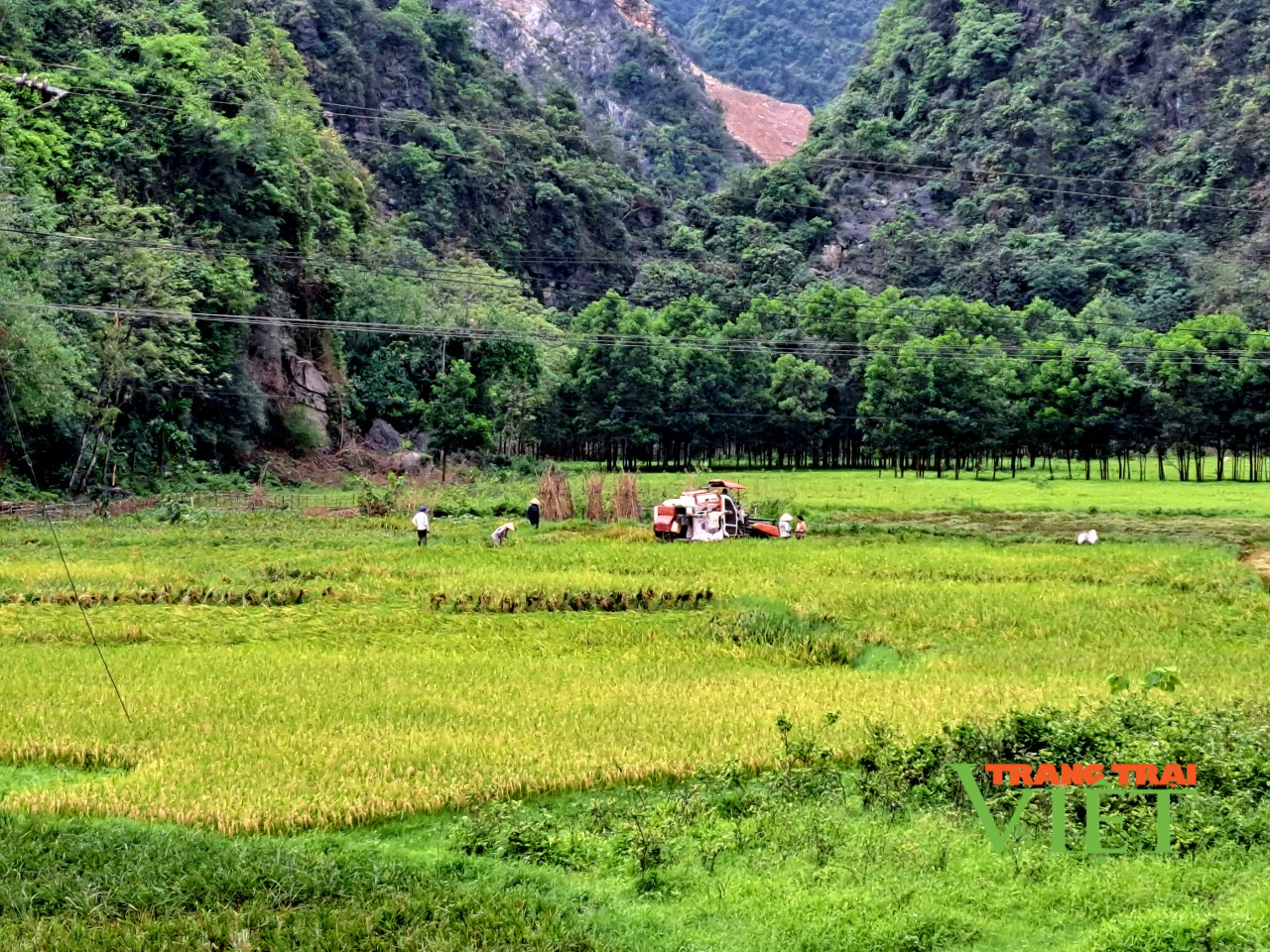 Hòa Bình: Cao Dương nỗ lực xây dựng nông thôn mới nâng cao - Ảnh 1.