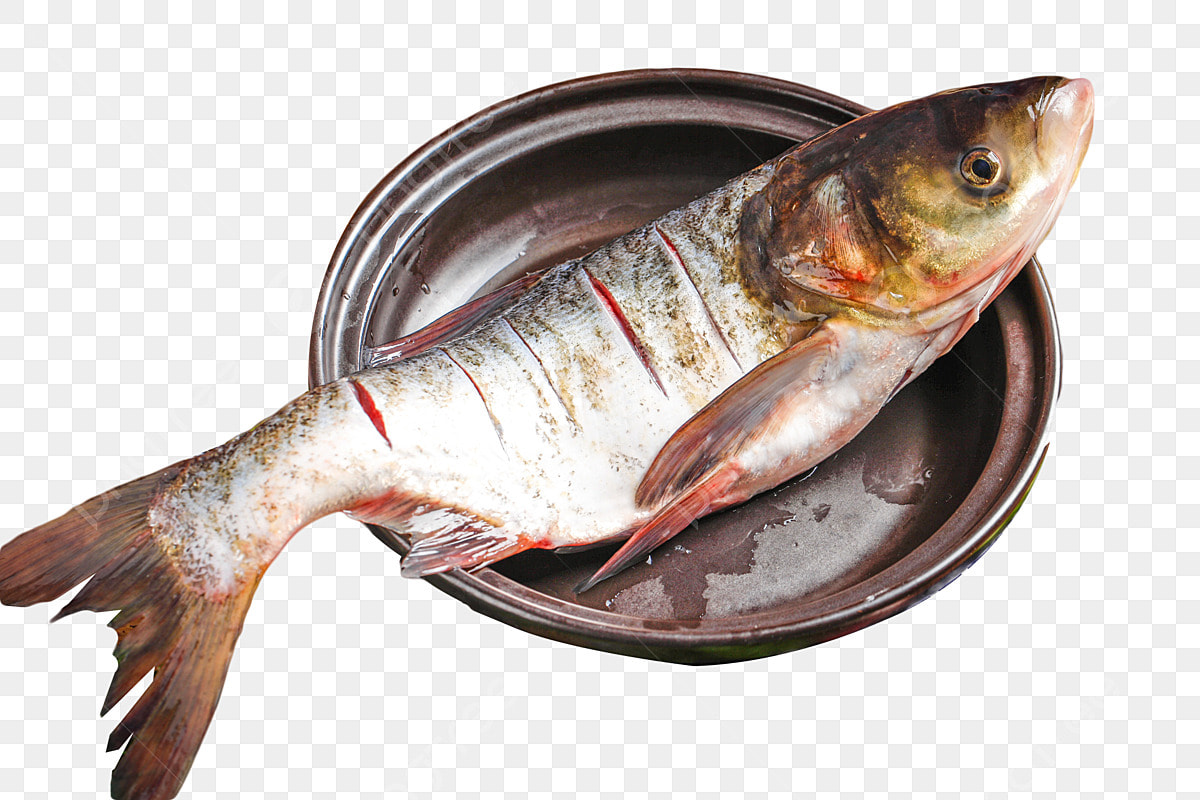Loài cá bình dân hay ăn rau xanh lại là vị thuốc giúp bổ gan, sáng ...