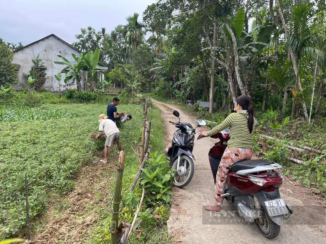  Người dân nào ở vùng khó khăn của Quảng Nam tự nguyện hiến ngàn mét đất để làm đường  - Ảnh 1.