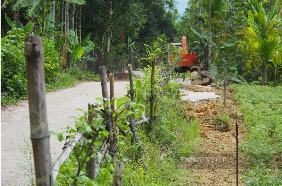  Người dân nào ở vùng khó khăn của Quảng Nam tự nguyện hiến ngàn mét đất để làm đường  - Ảnh 4.