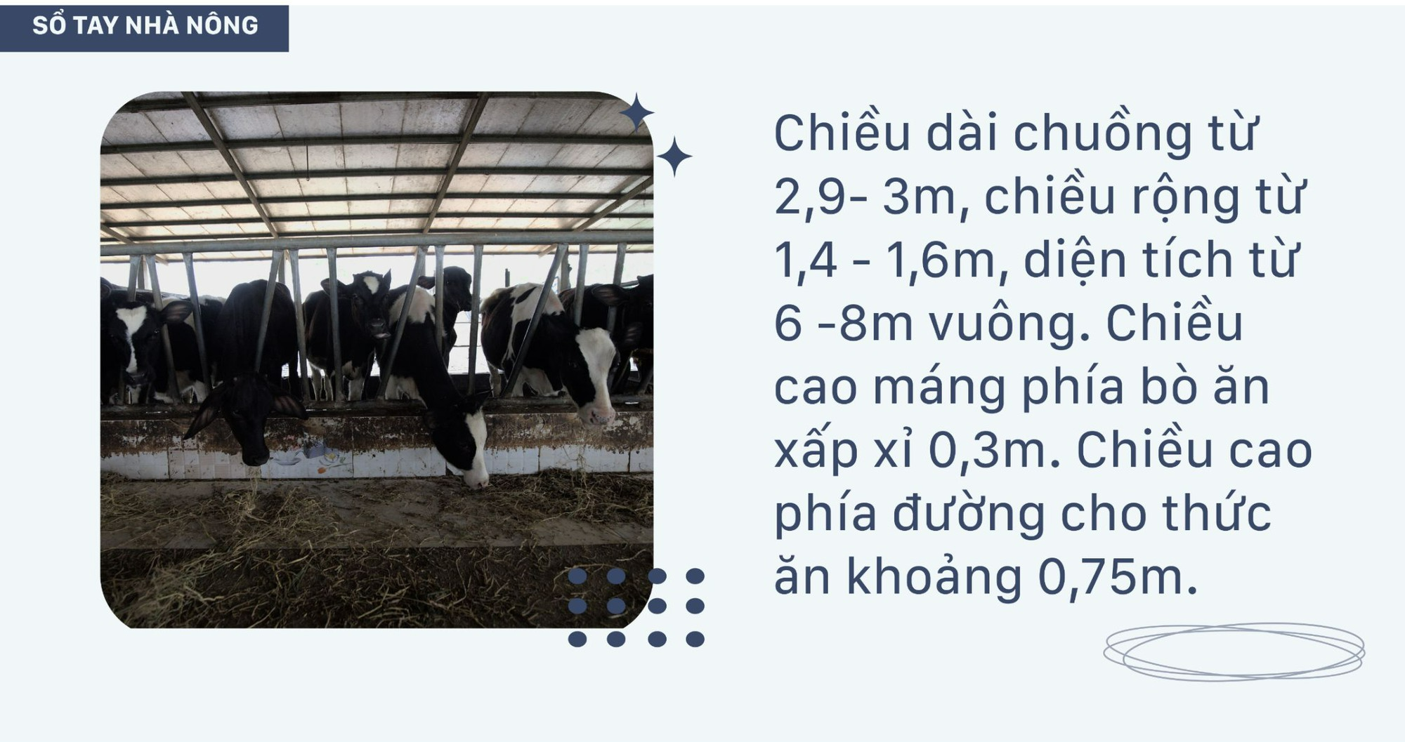 SỔ TAY NHÀ NÔNG: Hướng dẫn kỹ thuật làm chuồng nuôi bò sữa - Ảnh 1.