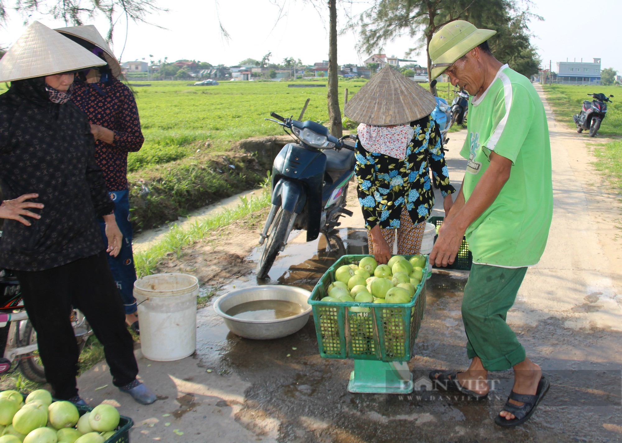 Thời tiết không ủng hộ, người trồng dưa ở Nam Định buồn bã vì năng suất thấp - Ảnh 4.