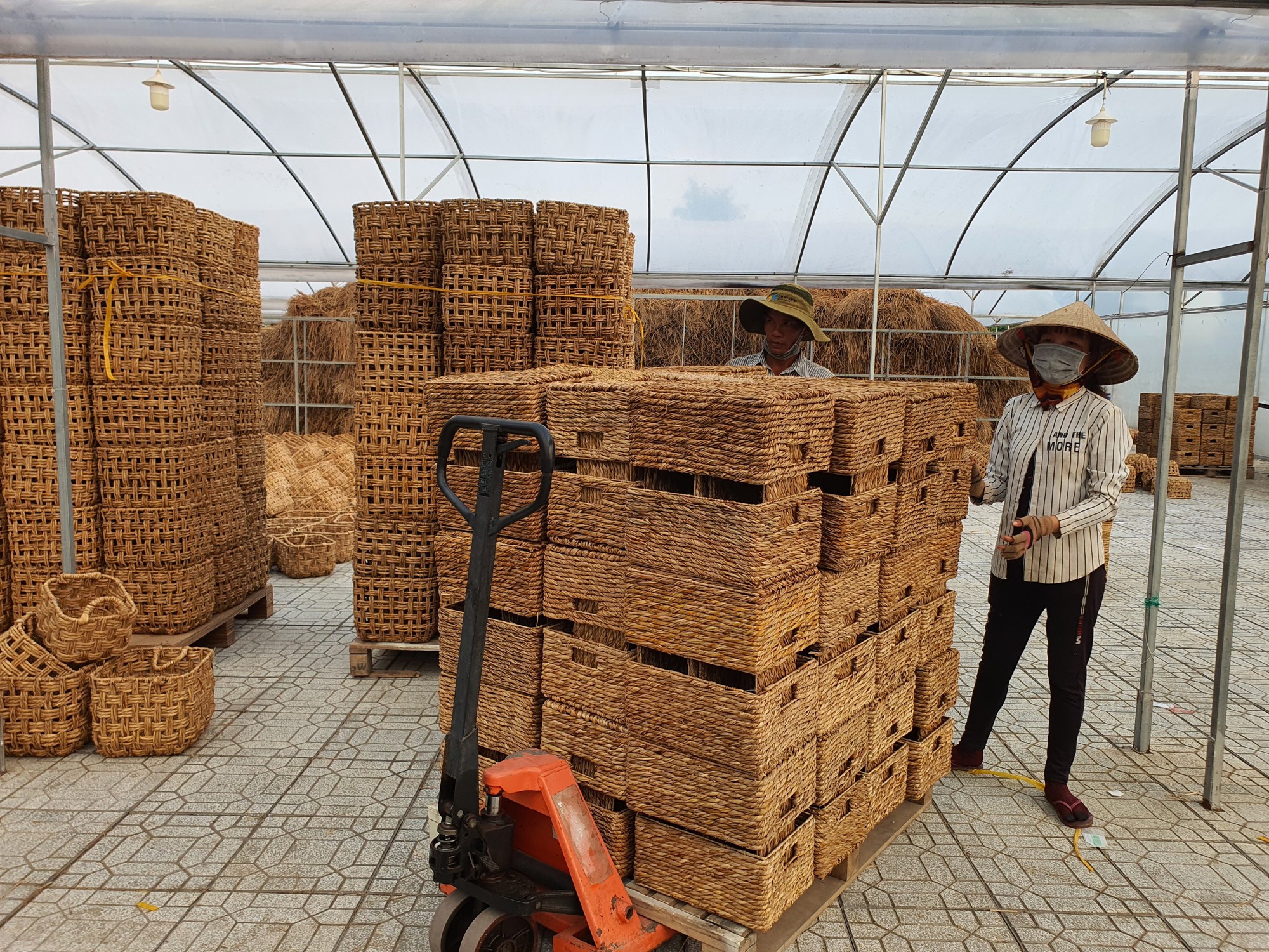 Không ngờ cây cỏ này đã giúp hàng trăm nông thôn ở Sóc Trăng có việc làm thêm ổn định - Ảnh 4.