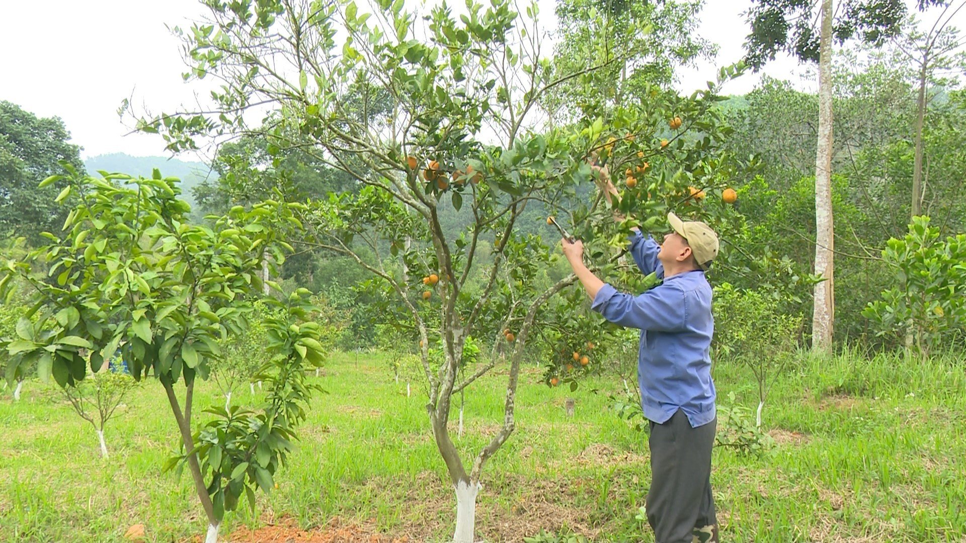 Bắc Kạn: Chung tay xây dựng nông thôn mới nâng cao - Ảnh 2.